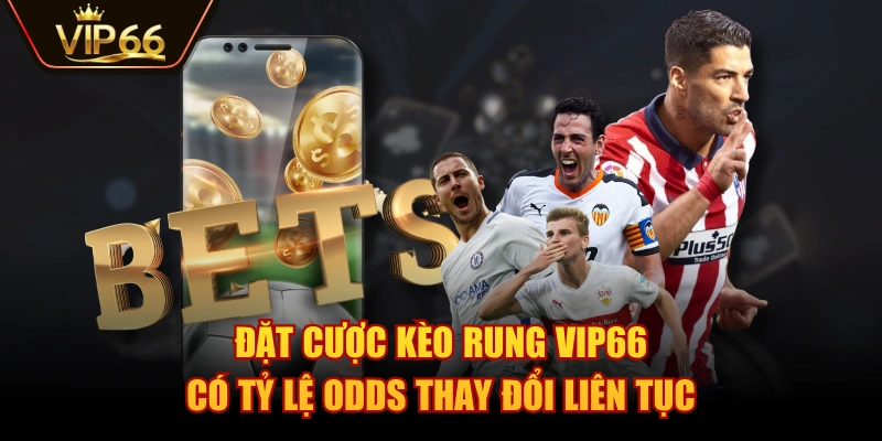 Đặt cược kèo rung VIP66 có tỷ lệ odds thay đổi liên tục