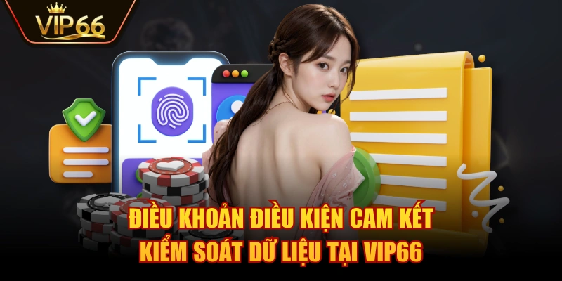 Điều khoản điều kiện cam kết kiểm soát dữ liệu tại VIP66