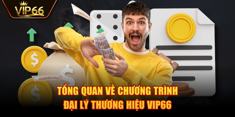 Tổng quan về chương trình đại lý thương hiệu VIP66