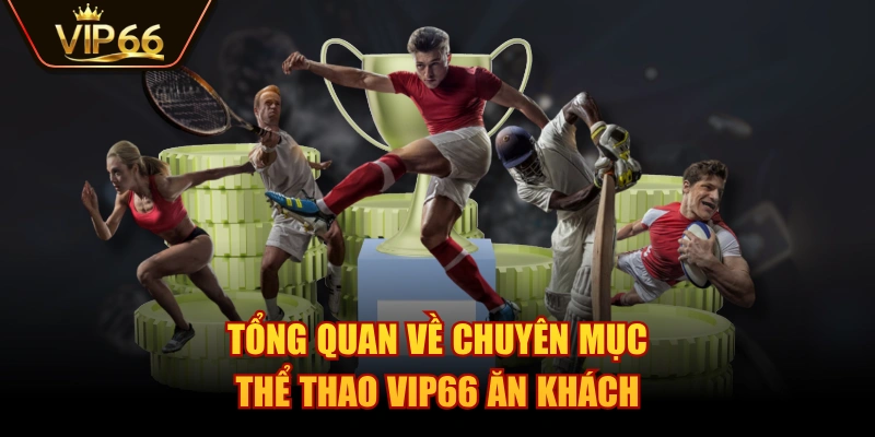 Tổng quan về chuyên mục Thể Thao VIP66 ăn khách