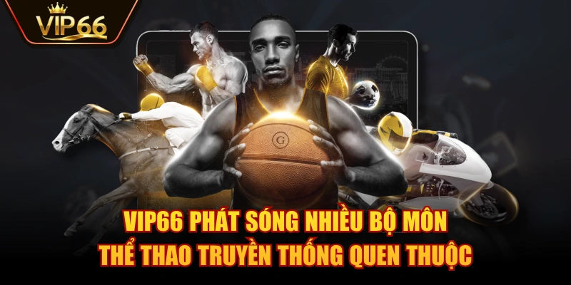 VIP66 phát sóng nhiều bộ môn thể thao truyền thống quen thuộc